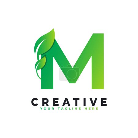 Téléchargez les illustrations : Nature Green Leaf Letter M Logo Design. logo monogramme. Icône Alphabet Feuilles Vertes. Utilisable pour les logos Business, Science, Santé, Médical et Nature - en licence libre de droit