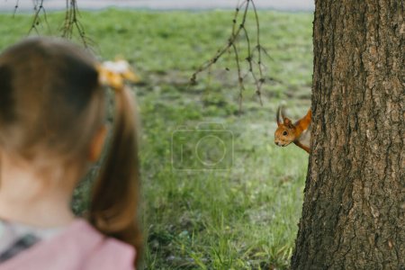 Téléchargez les photos : Enfant regardant l'écureuil dans le parc. Une fille de derrière, un animal en attente de nourriture. Observation de la nature et activités pour les enfants. Écureuil curieux sur l'arbre - en image libre de droit