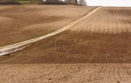 Photo for Agricultural farm field of ploughed soil. Landscape with brown ground in early spring. Background copy space Dirt road - Royalty Free Image