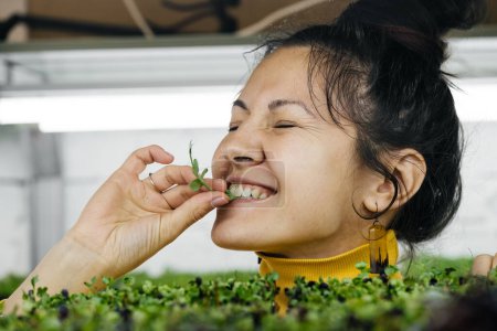 Foto de Mujer joven agricultora cultivando microgreens en el jardín vertical interior urbano. Persona feliz cuidando plantas en los estantes de la granja. Retrato de cerca del dueño de una pequeña empresa comiendo verduras - Imagen libre de derechos