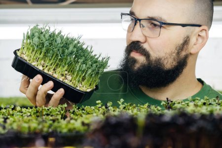 Foto de Joven agricultor macho cultivando microgreens en su jardín vertical interior. Hombre feliz cuidando plantas en estantes. Retrato de primer plano del propietario de la pequeña empresa - Imagen libre de derechos