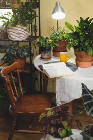Photo for Green relax zone in the room with opened book and potted flowers. Reading place near houseplants. Nobody. Boho style. eco design in cozy house. Digital detox, no gadgets - Royalty Free Image