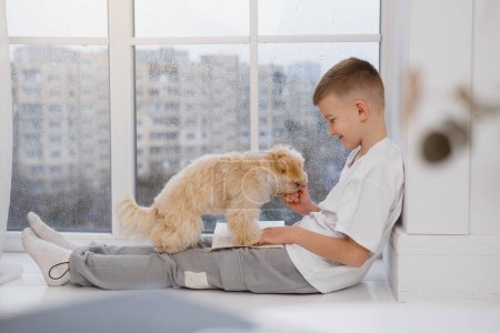 Foto de Niño sentado en un alféizar de la ventana, jugando con el perro maltipoo, libro de lectura para mascotas - Imagen libre de derechos