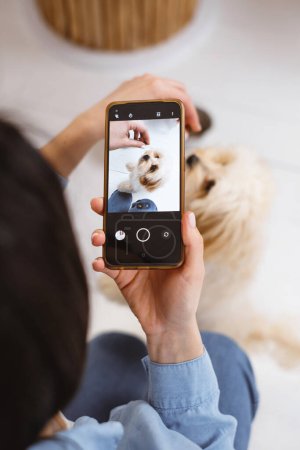 Téléchargez les photos : Femme prenant une photo de chien par téléphone portable dans un moment franc. Nourrir maltipoo chiot - en image libre de droit