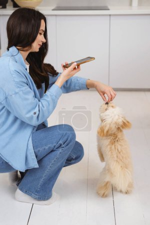 Photo for Woman taking picture of dog by cell phone in a candid moment. Feeding puppy maltipoo - Royalty Free Image