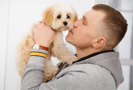Téléchargez les photos : Propriétaire tenant petit chien maltipoo dans ses mains, Bond entre humain et animal de compagnie. Soins et amour à l'ami animal - en image libre de droit