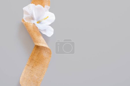 Téléchargez les photos : Ruban de jute bouclé brun avec une fleur blanche sur fond gris - en image libre de droit
