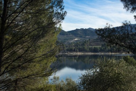 Foto de Paisaje acuático con reflejos del embalse de Beniarrs enmarcado por pinos en primer plano, España - Imagen libre de derechos