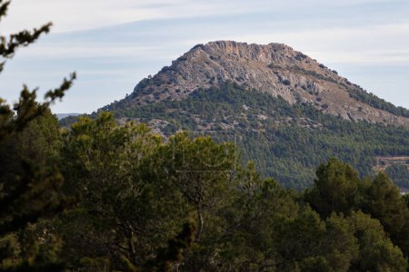 Top of La Serreta mountain from the natural area of San Antonio in Alcoy, Spain