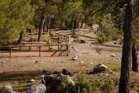 Landschaft mit Picknickplatz im Naturgebiet von San Antonio de Alcoy, Spanien