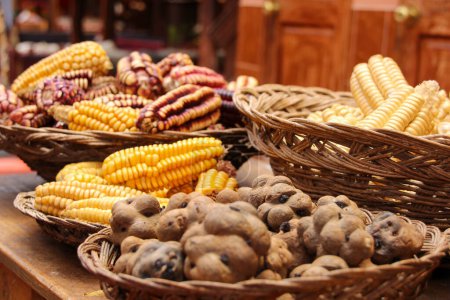 Téléchargez les photos : Maïs de différentes couleurs séché au soleil, pommes de terre indigènes du Pérou - en image libre de droit