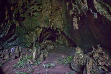 Photo for Stalagmites in the cave of the owls in Tingo Maria, Peru - Royalty Free Image