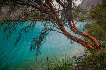 Foto de Laguna Llanganuco, con aguas cristalinas y turquesas, en la Cordillera Blanca, Montañas Huaraz, Ancash, Perú - Imagen libre de derechos
