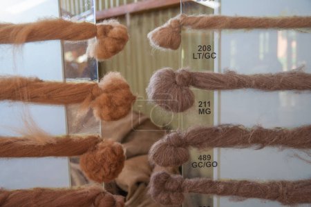 Foto de Vista de cerca de muestras de lana de alpaca - Imagen libre de derechos