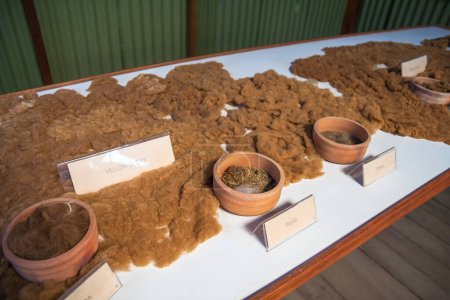 Foto de Vista de cerca de muestras de lana de alpaca - Imagen libre de derechos