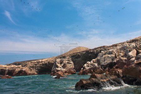 Téléchargez les photos : Les îles Ballestas, importante biodiversité marine et sports d'aventure pour l'écotourisme. Paracas Pérou, - en image libre de droit
