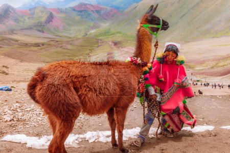 Téléchargez les photos : Enfant des Andes du Pérou, marchant avec son lama - 12 juin 2017, Huayllay, Pérou - en image libre de droit