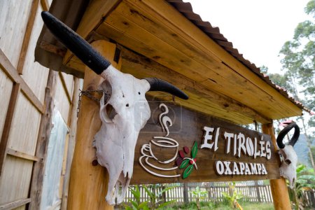Foto de Cafetería tradicional con granos de café - Imagen libre de derechos