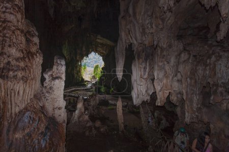 Téléchargez les photos : Grotte dans la forêt - en image libre de droit