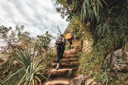 Photo for Tourists climbing the Huaynapicchu mountain in Cusco, Peru - Royalty Free Image