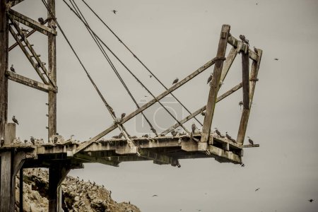 Téléchargez les photos : Vieux pont abandonné dans la ville Paracas Pérou - en image libre de droit