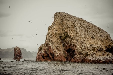 Foto de Un hermoso paisaje de una costa rocosa con un mar enorme Paracas Perú - Imagen libre de derechos