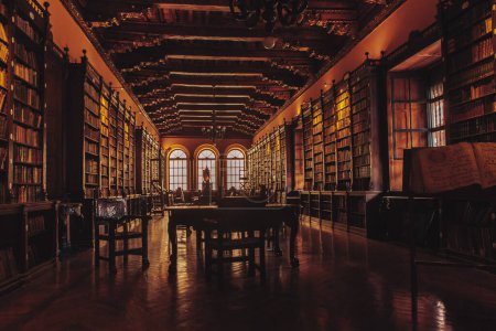 Foto de Biblioteca con libros en estantes - Imagen libre de derechos