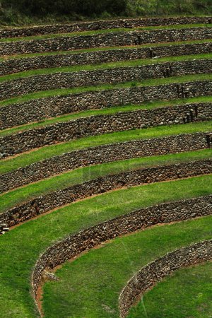 Foto de Campo verde en el parque, Centro Arqueológico Moray, Cusco Perú - Imagen libre de derechos
