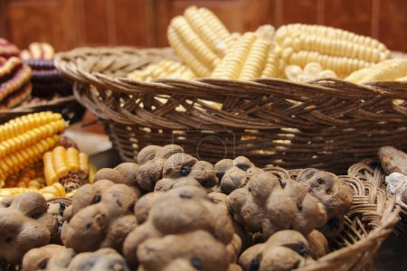 Foto de Cesta con maíz y frijoles - Imagen libre de derechos