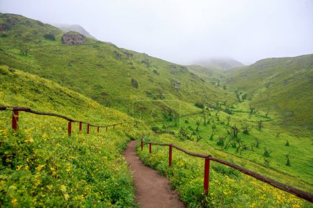 Les Lomas de Lachay est une réserve naturelle nationale, l'une des plus importantes au Pérou, où vous pourrez apprécier la diversité de la flore, la faune et l'archéologie.
