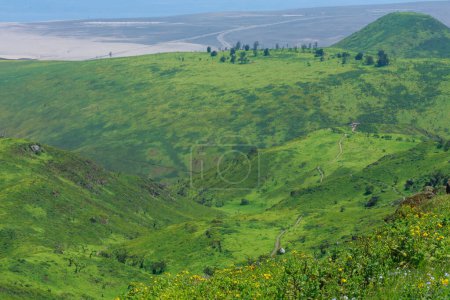 Téléchargez les photos : Les Lomas de Lachay est une réserve naturelle nationale, l'une des plus importantes au Pérou, où vous pourrez apprécier la diversité de la flore, la faune et l'archéologie. - en image libre de droit