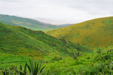 Les Lomas de Lachay est une réserve naturelle nationale, l'une des plus importantes au Pérou, où vous pourrez apprécier la diversité de la flore, la faune et l'archéologie.