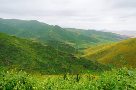 The Lomas of Lachay is a national natural reserve, one of the most important in Peru, where you can appreciate the diversity of flora, fauna and archaeology.