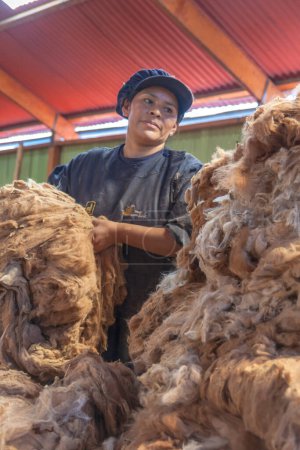 Foto de Un agricultor que trabaja con una pila de algodón en una fábrica. - Imagen libre de derechos