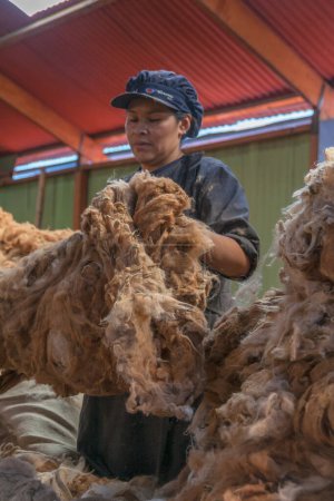 Foto de El proceso de fabricación de una lana - Imagen libre de derechos