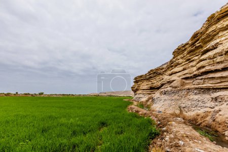 le paysage de la vallée de la mer morte au nord de l "État d'Israël