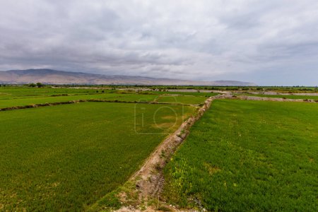 Luftaufnahme von der Drohne der Felder in den Bergen des Tals nördlich von Israel im Frühling