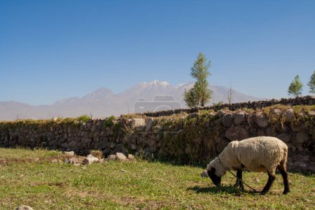 Foto de Hermoso paisaje en las montañas, Arequipa - Imagen libre de derechos