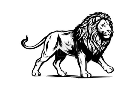 Téléchargez les illustrations : Lion Illustration dessinée à la main pour tatouage, logotype, dessin d'emblème. Gravure de chat sauvage. Image de style croquis vintage - en licence libre de droit