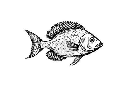 Illustration for Perch hand drawn engraving fish isolated on white background. Vector sketch illustration - Royalty Free Image