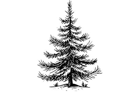 Illustration for Christmas tree vector illustration. Hand drawn ink sketch. Engraving style image - Royalty Free Image
