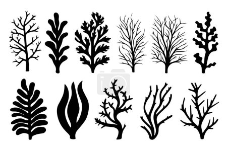 Illustration for Hand drawn set of corals and seaweed silhouette isolated on white background. Vector icons and stamp illustration - Royalty Free Image