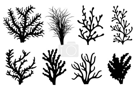 Photo for Hand drawn set of corals and seaweed silhouette isolated on white background. Vector icons and stamp illustration - Royalty Free Image