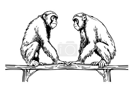 Photo for Two monkeys sitting on a branch. Ink sketch engraving vector illustration - Royalty Free Image