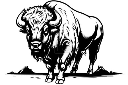 Photo for Hand drawn buffalo. Vector illustration of bull ink sketch engraving style - Royalty Free Image