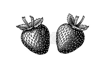 Strawberry in engraving style. Design element for poster, card, banner, sign. Vector illustration