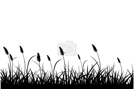 Téléchargez les illustrations : Fond abstrait avec des silhouettes noires d'herbes sauvages de prairie et de fleurs. Illustration vectorielle - en licence libre de droit