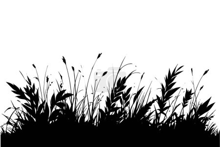 Téléchargez les illustrations : Fond abstrait avec des silhouettes noires d'herbes sauvages de prairie et de fleurs. Illustration vectorielle - en licence libre de droit