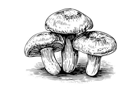 Photo for Forest mushrooms hand drawn ink sketch. Engraving vintage style vector illustration - Royalty Free Image