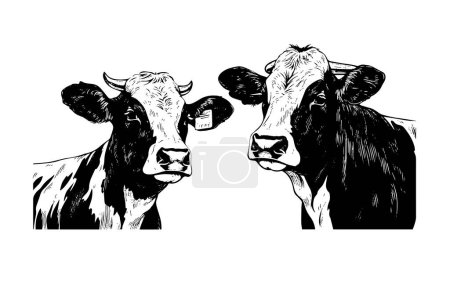 Illustration for Two alpine cow vector hand drawn engraving style illustration - Royalty Free Image